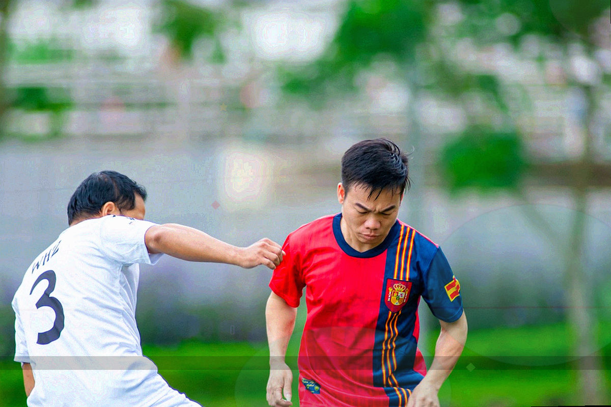 手机屏幕轮廓内排列五类目索引与首屏入口高亮位置
